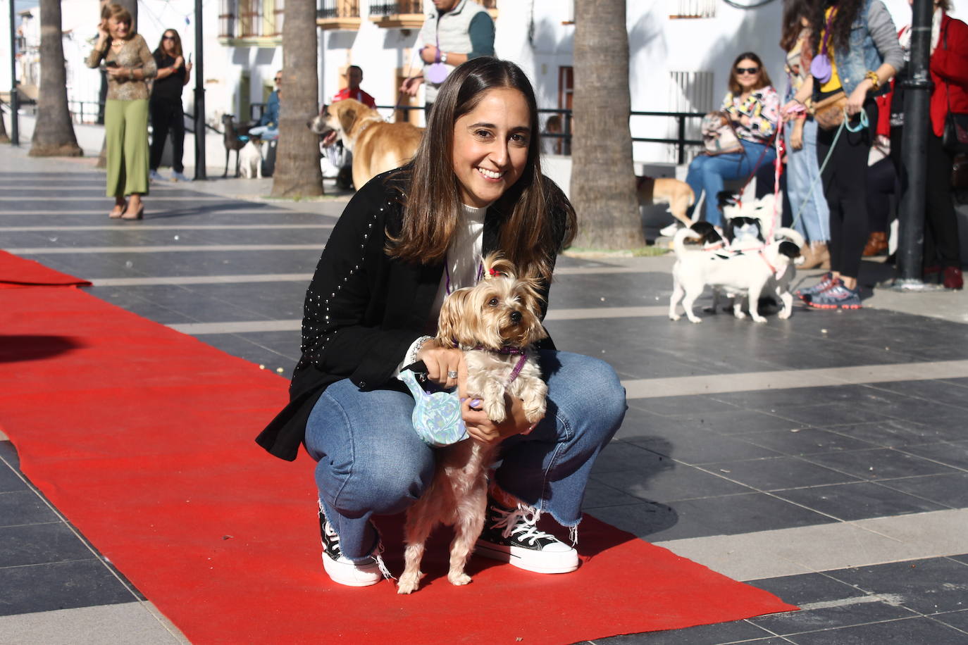 Fotos: III Desfile Canino