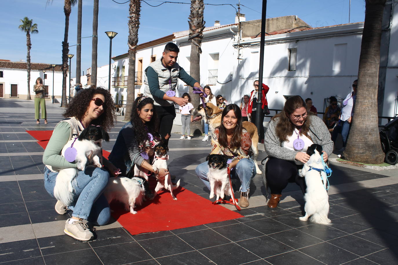 Fotos: III Desfile Canino