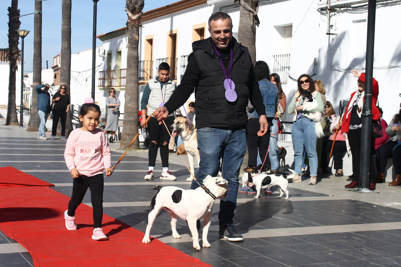 Fotos: III Desfile Canino