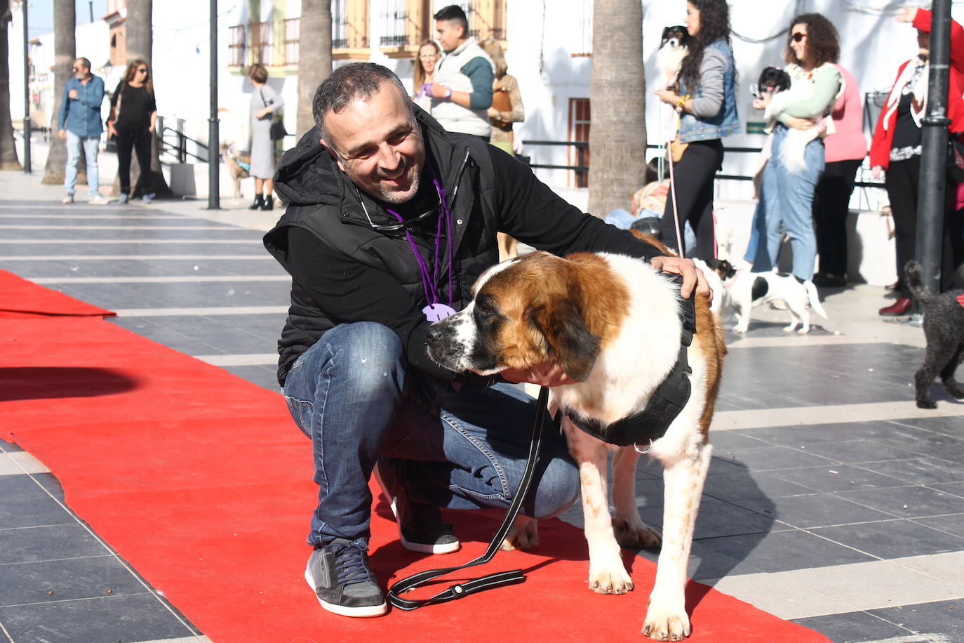 Fotos: III Desfile Canino