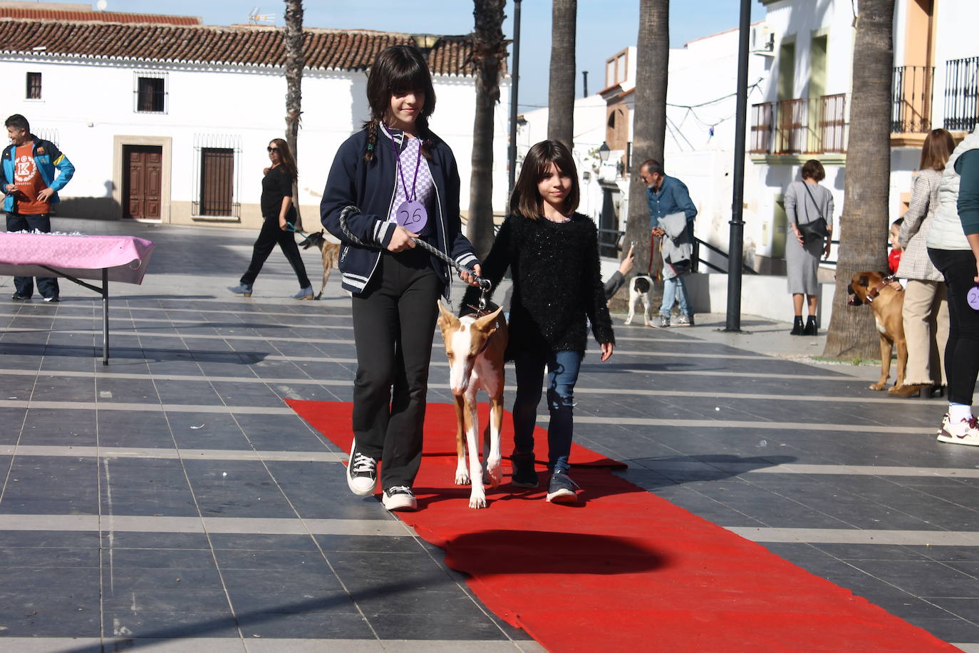 Fotos: III Desfile Canino