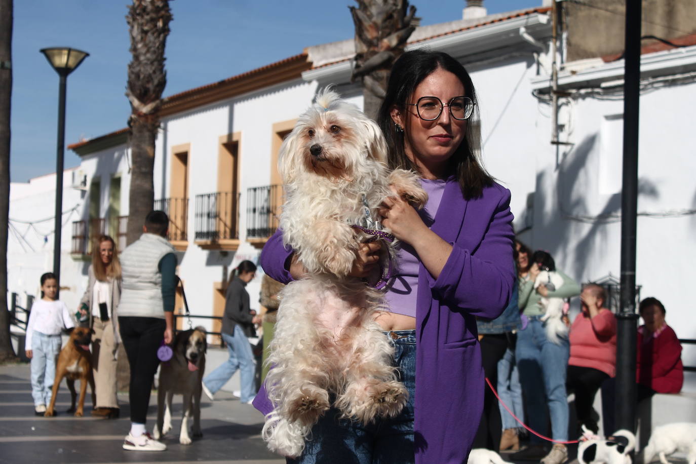 Fotos: III Desfile Canino