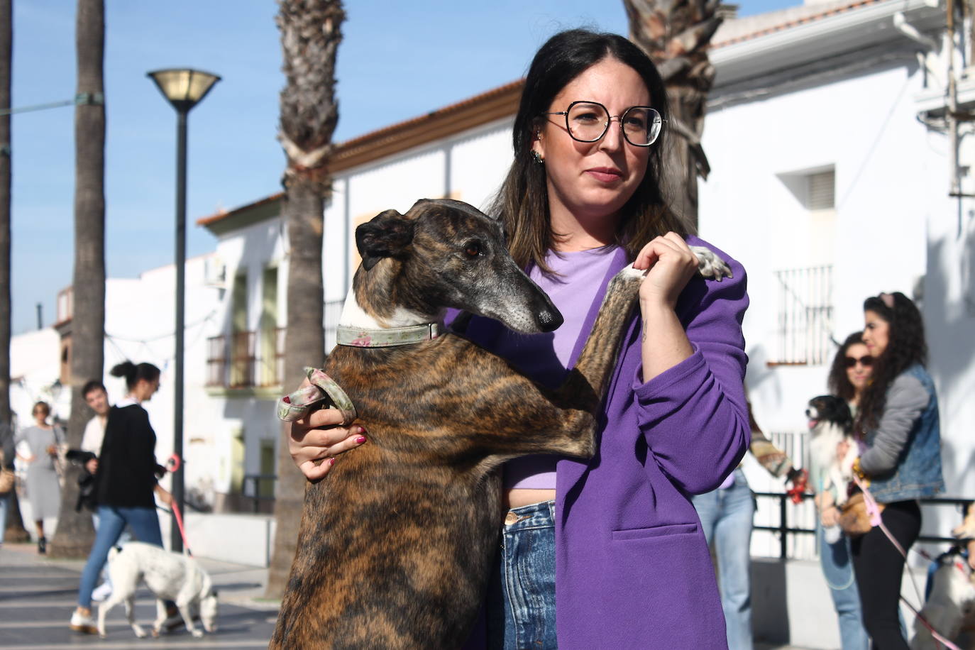 Fotos: III Desfile Canino