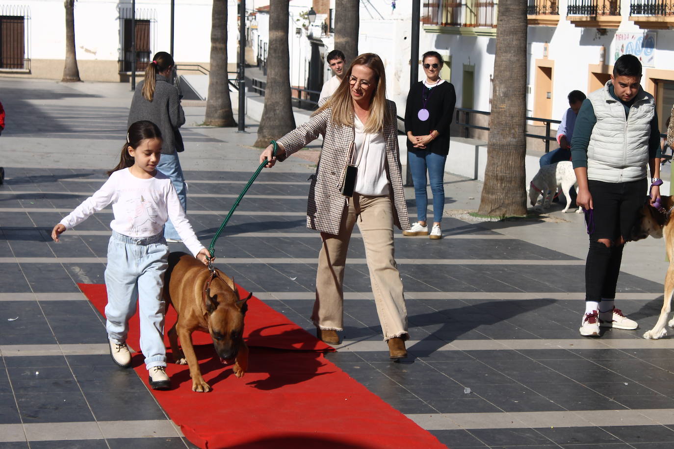 Fotos: III Desfile Canino