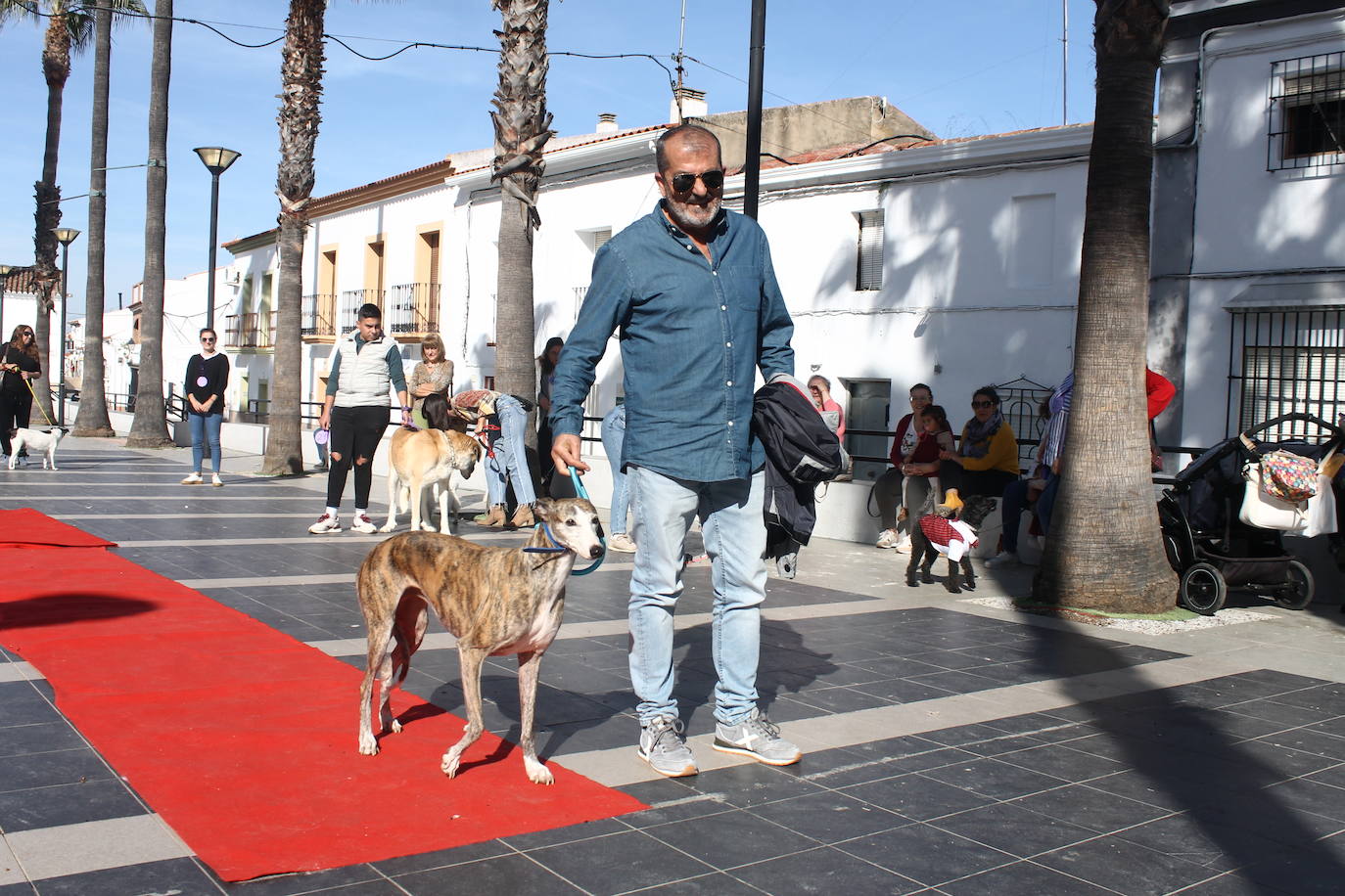 Fotos: III Desfile Canino