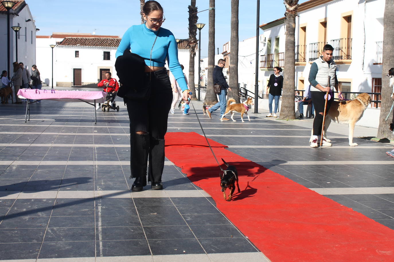 Fotos: III Desfile Canino