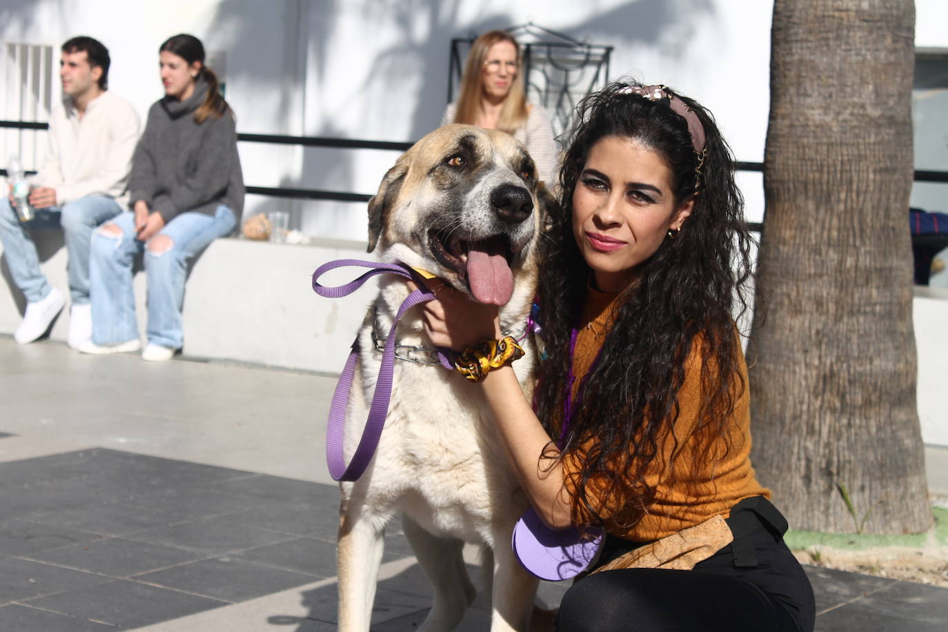 Fotos: III Desfile Canino