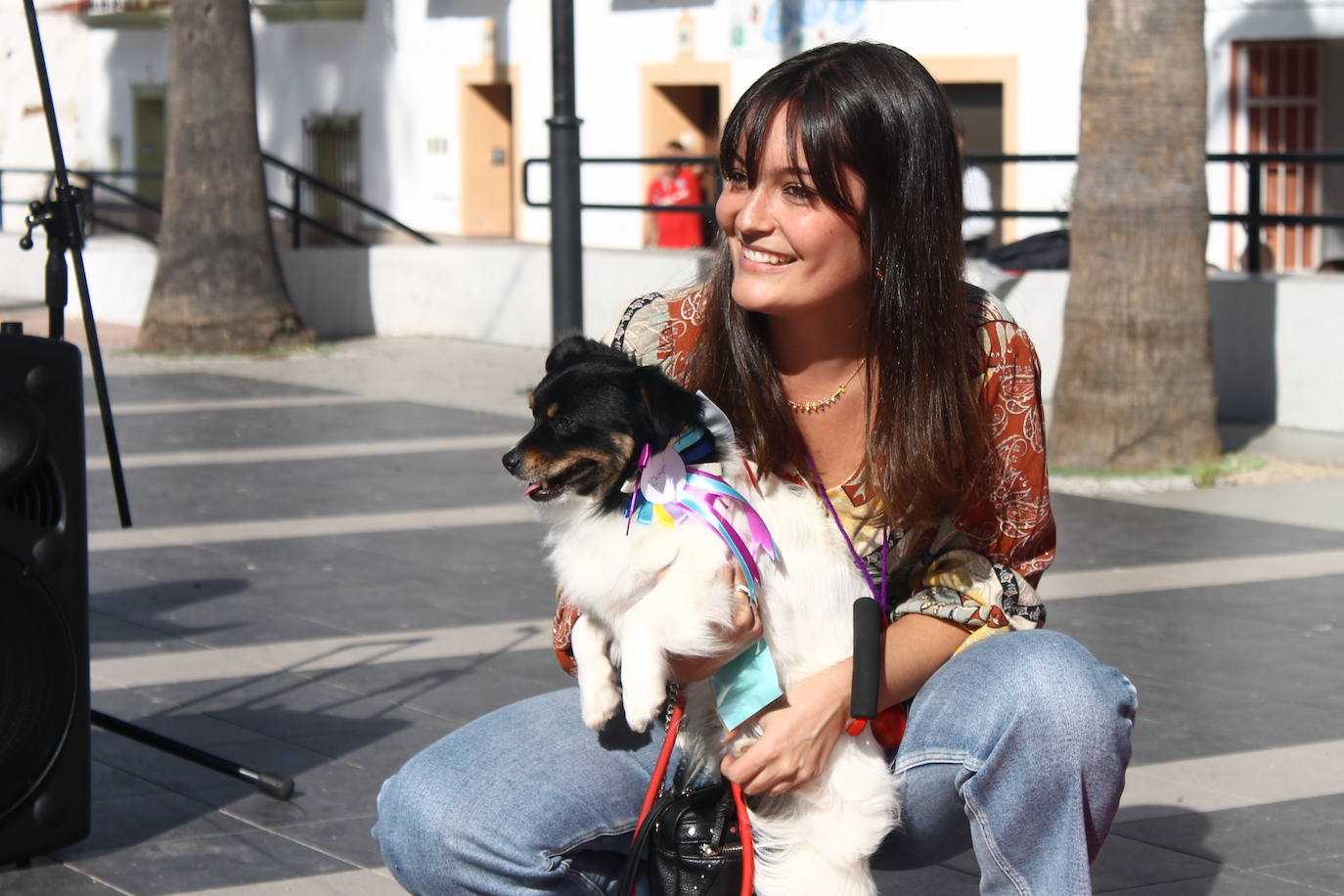 Fotos: III Desfile Canino