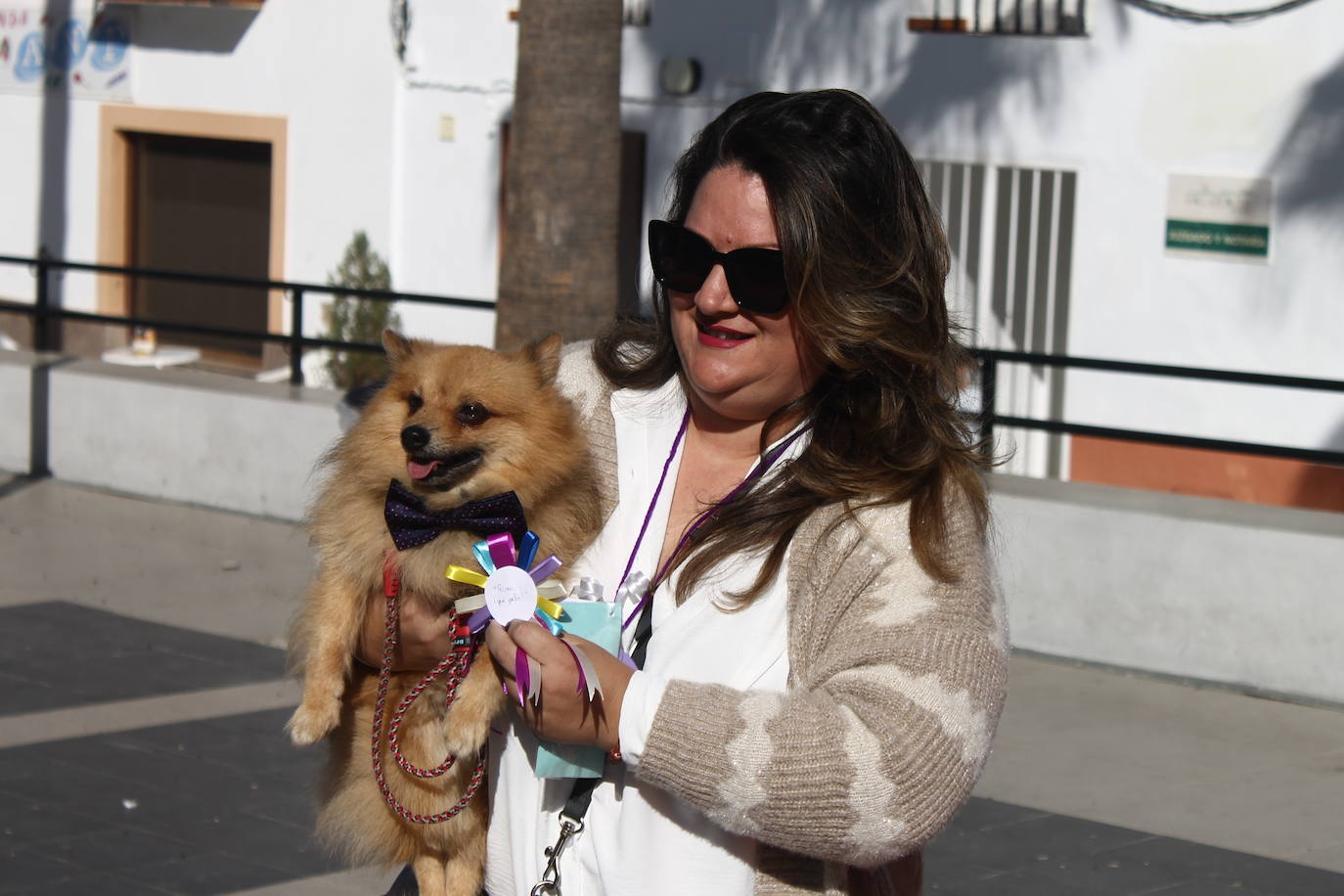 Fotos: III Desfile Canino