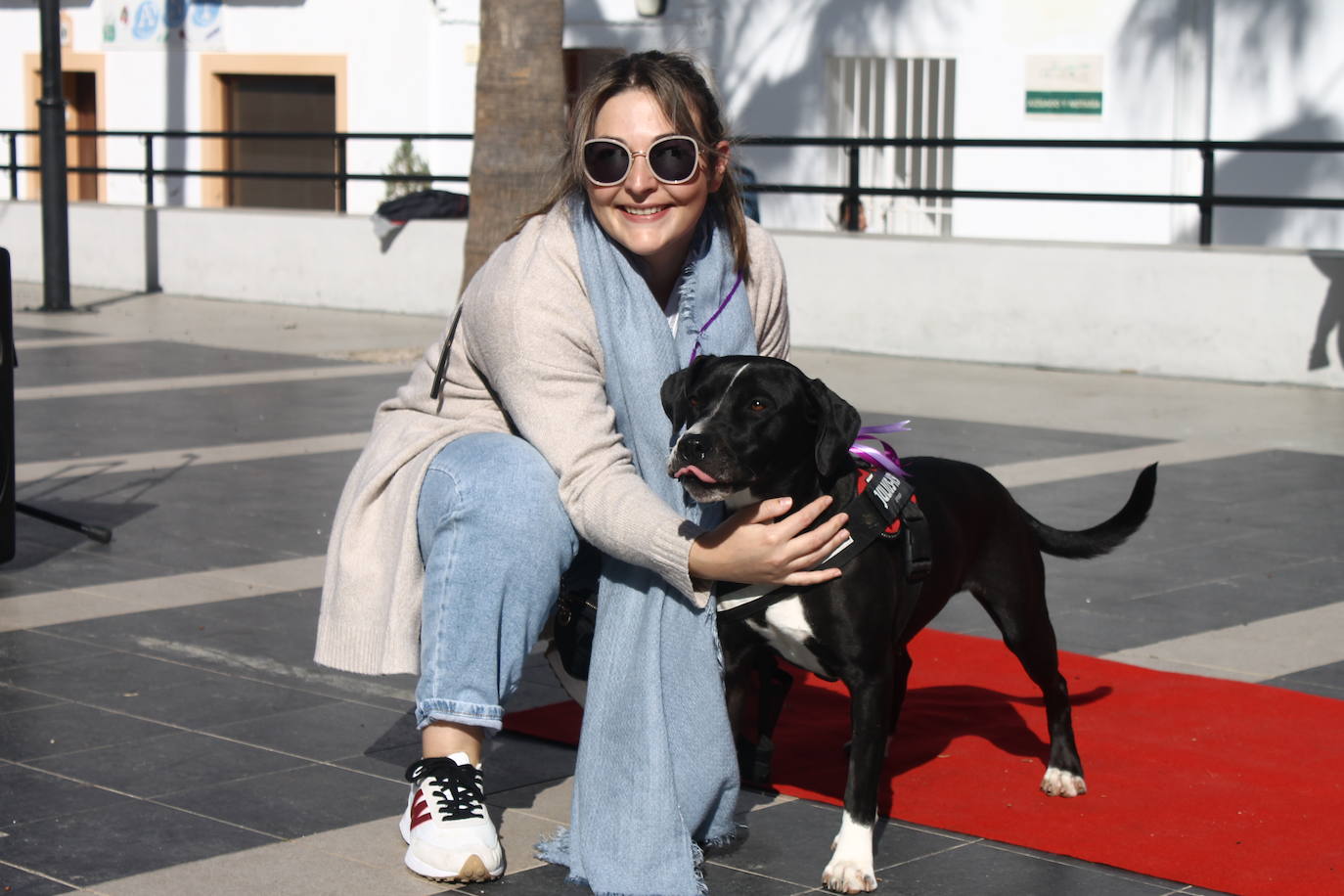 Fotos: III Desfile Canino