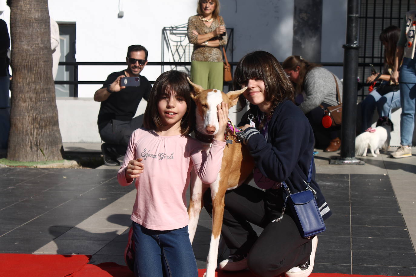 Fotos: III Desfile Canino