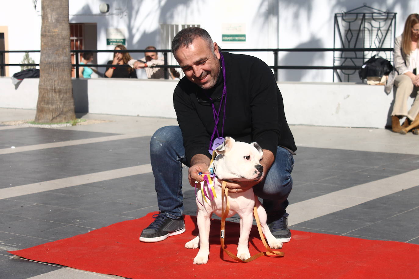 Fotos: III Desfile Canino