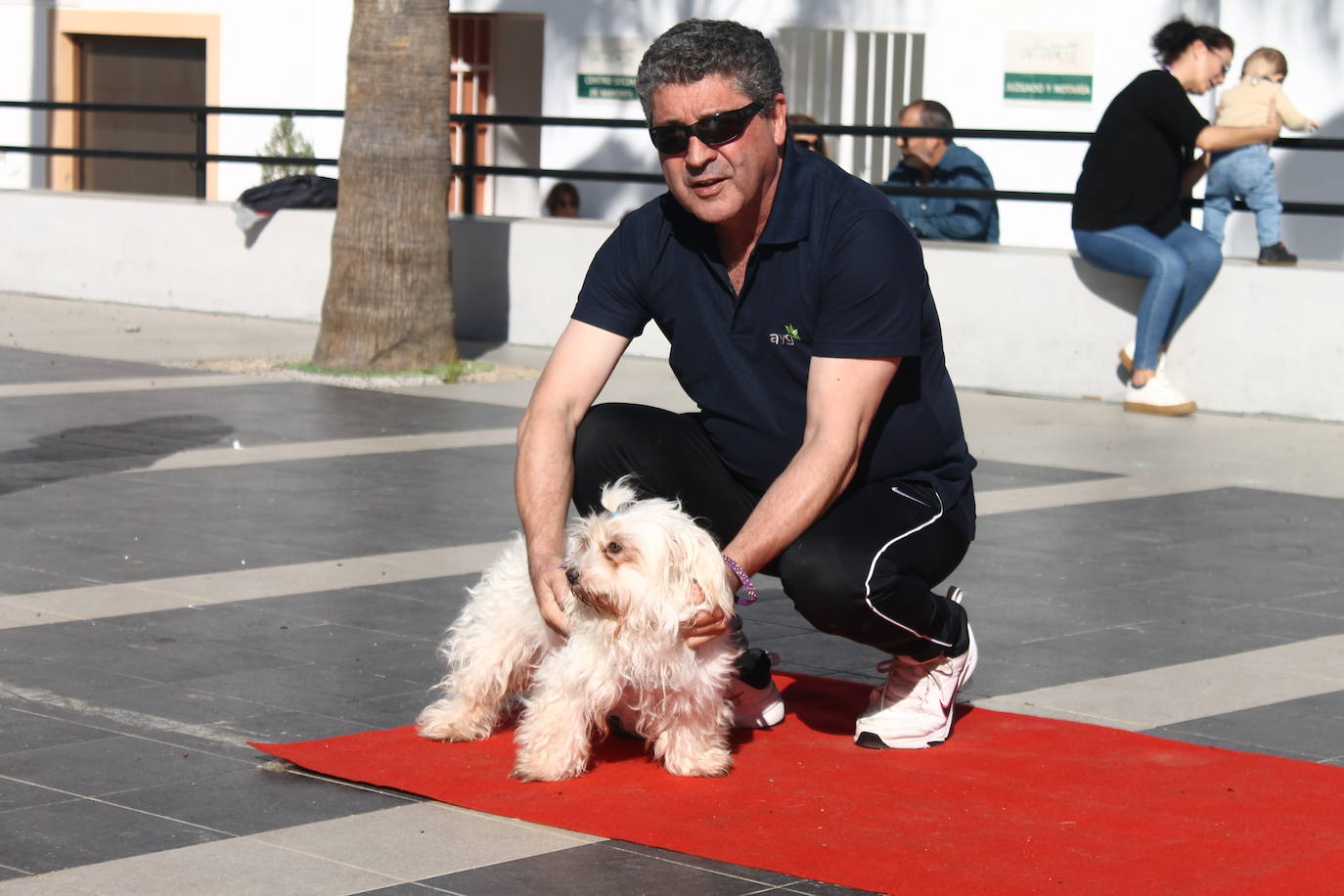 Fotos: III Desfile Canino