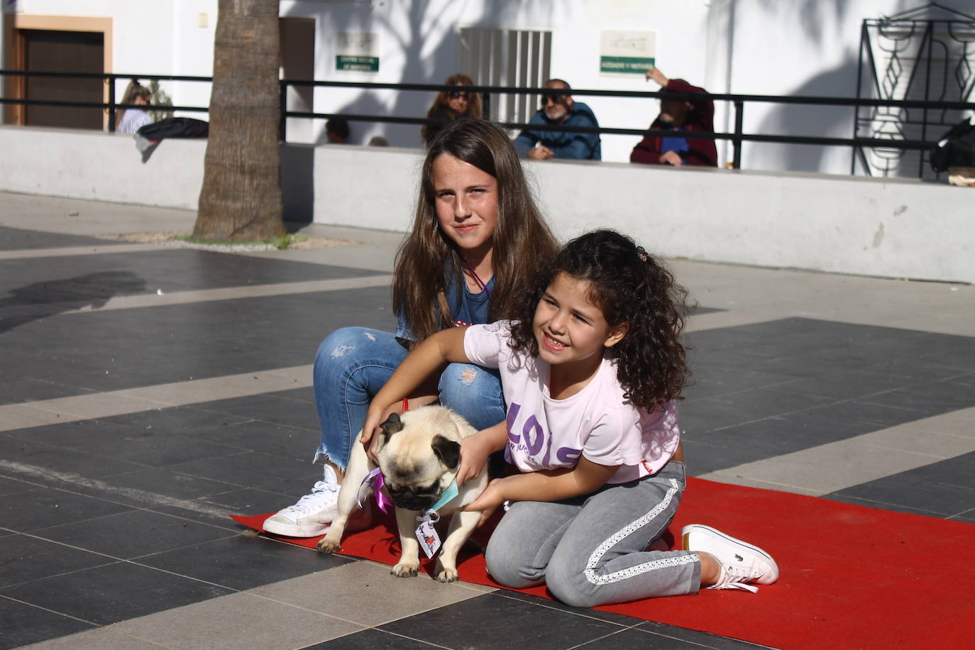 Fotos: III Desfile Canino