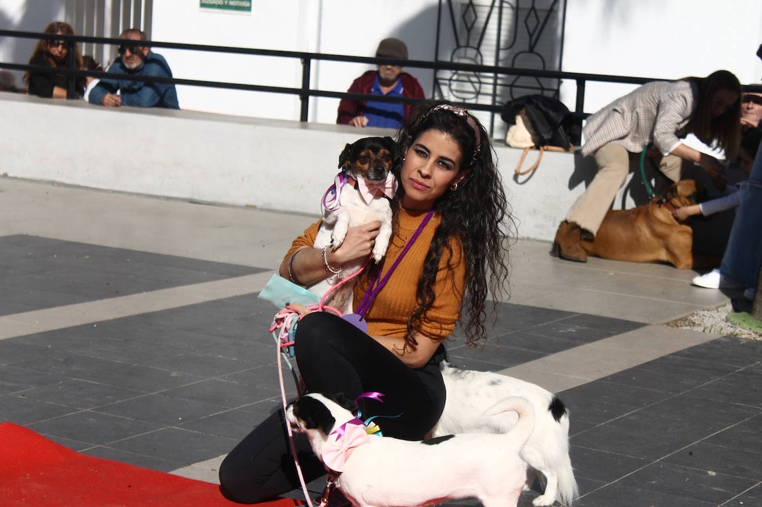 Fotos: III Desfile Canino