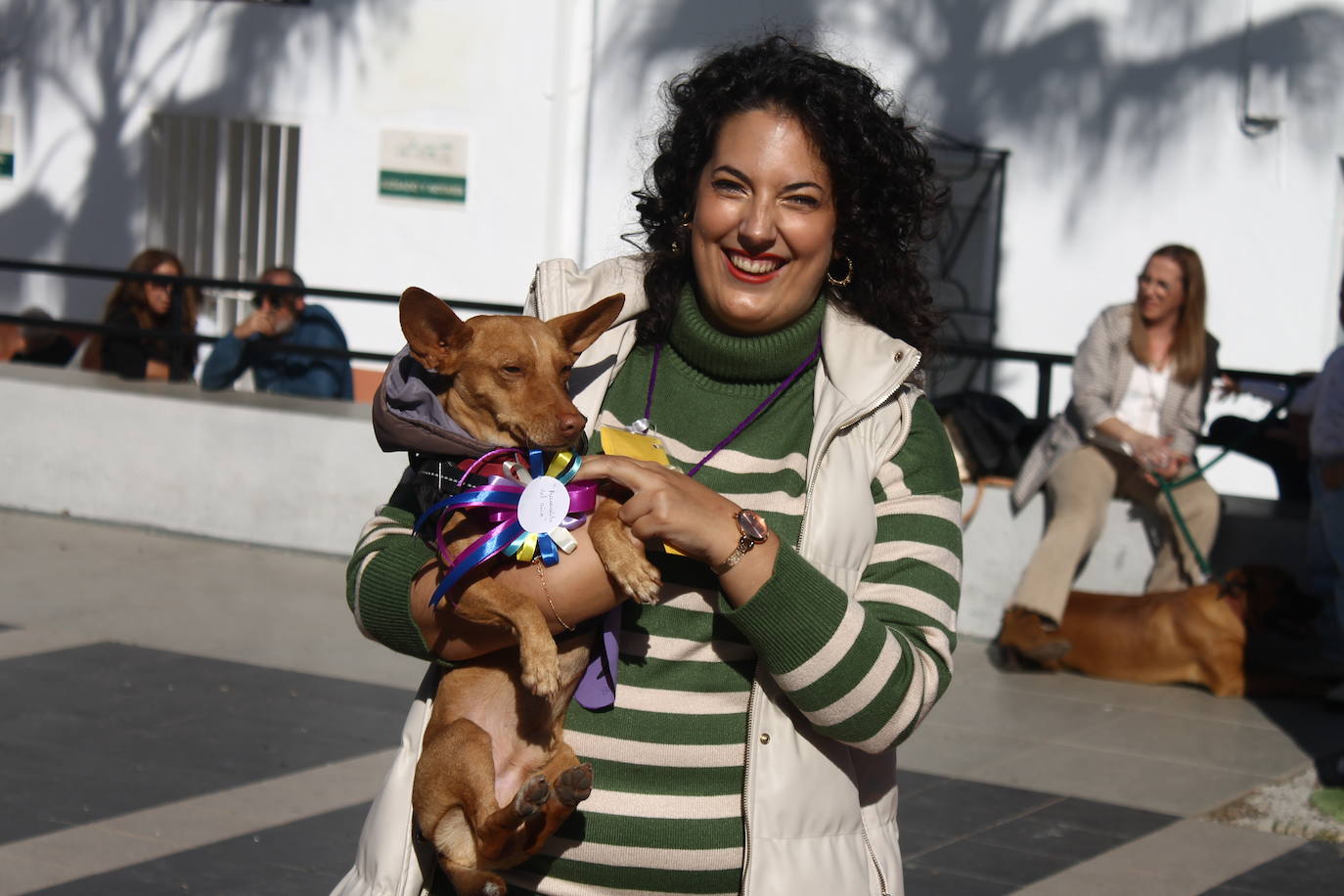 Fotos: III Desfile Canino