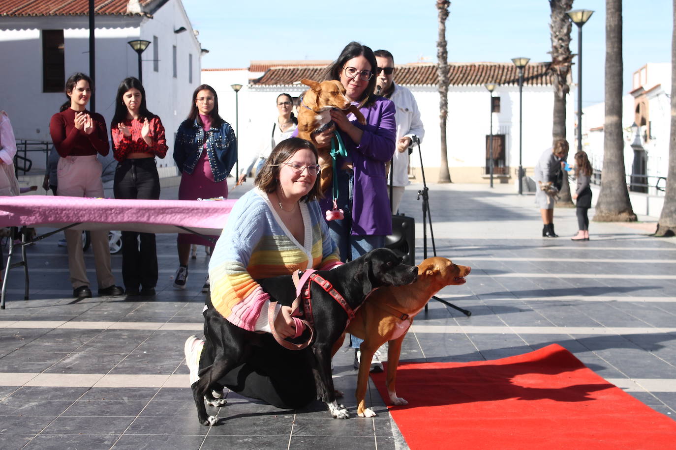 Fotos: III Desfile Canino