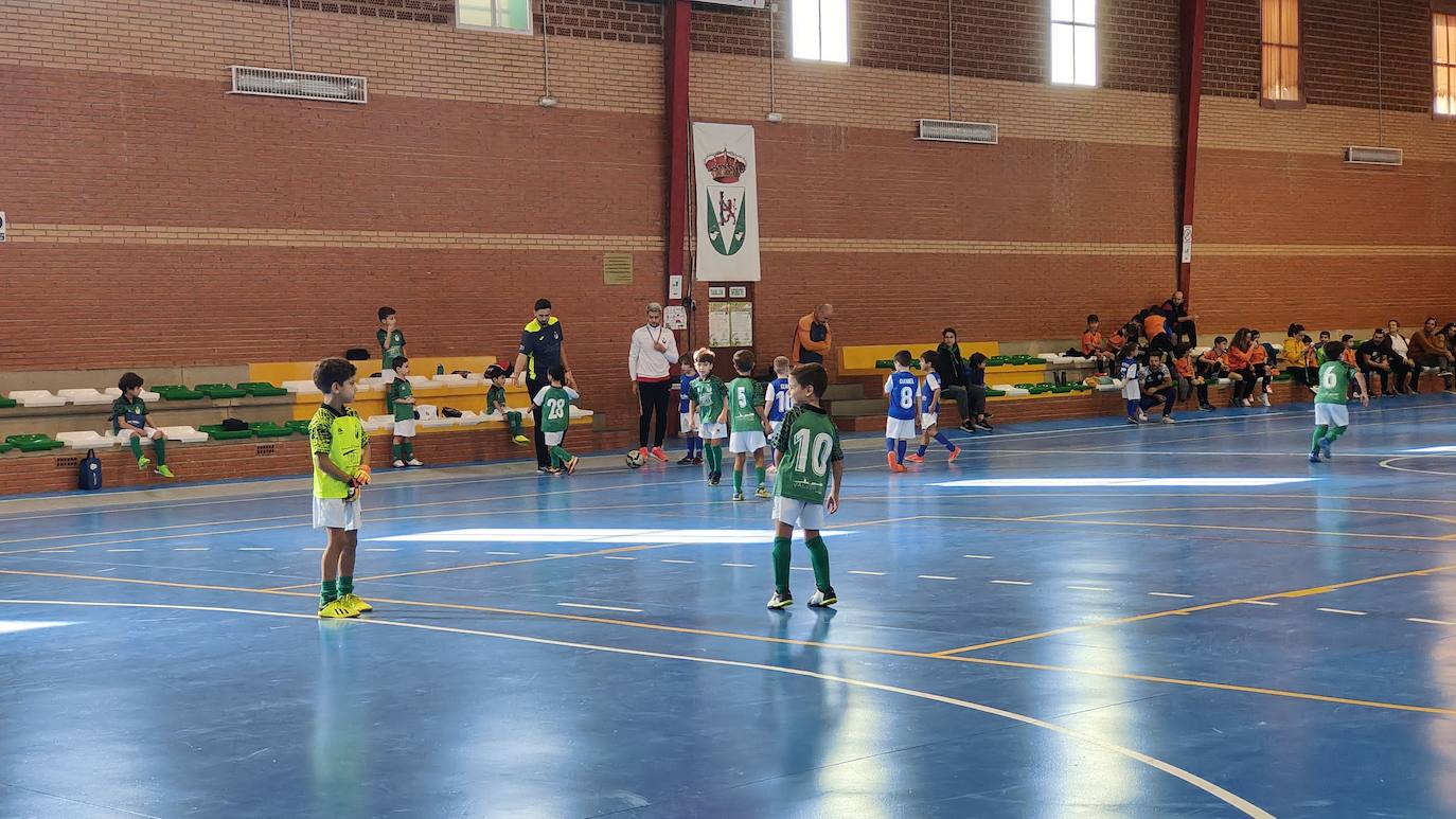Fotos: Concentración Prebenjamín