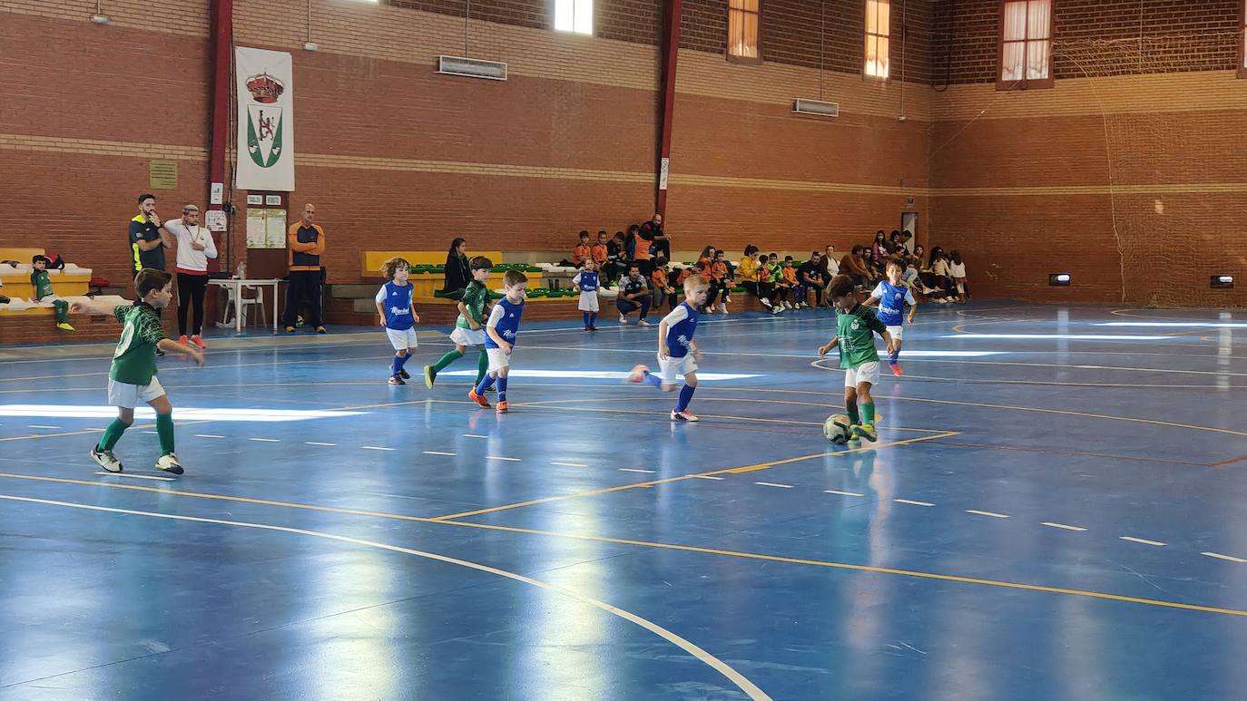 Fotos: Concentración Prebenjamín