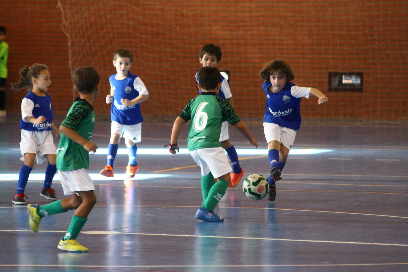 Fotos: Concentración Prebenjamín