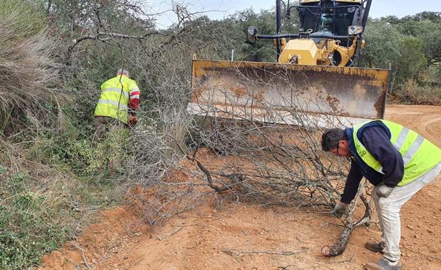 Trabajos realizados en la pista del camino conocido como 'carretera vieja'