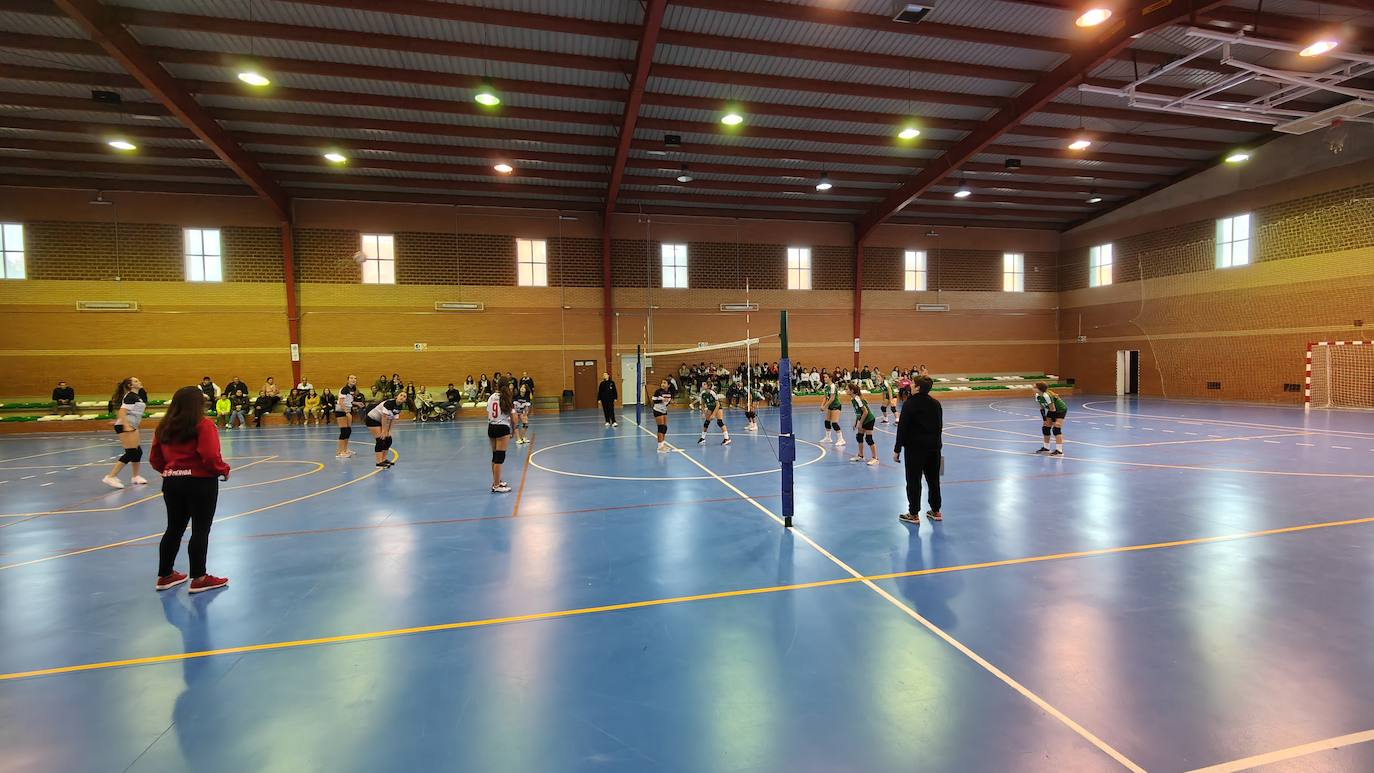 Fotos: Voleibol Infantil - FD Mérida
