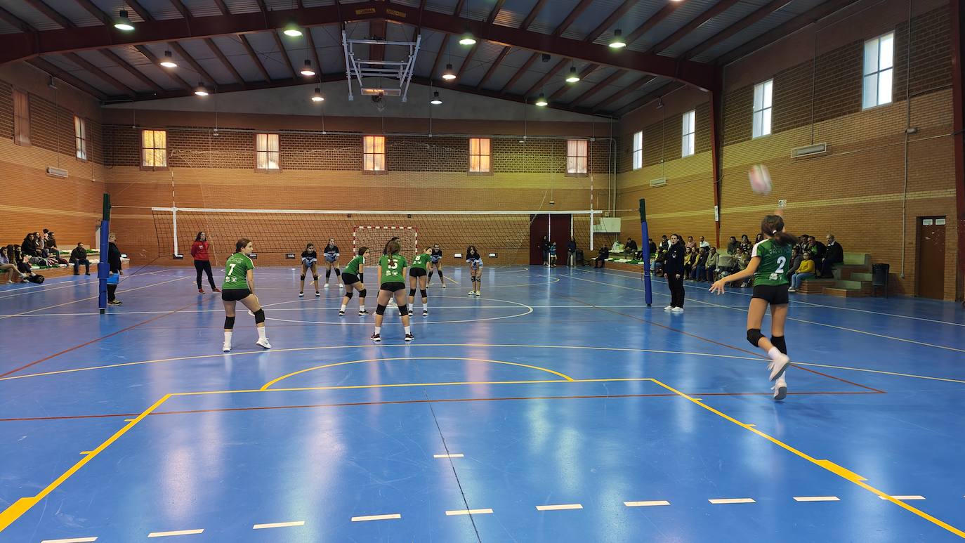 Fotos: Voleibol Infantil - FD Mérida