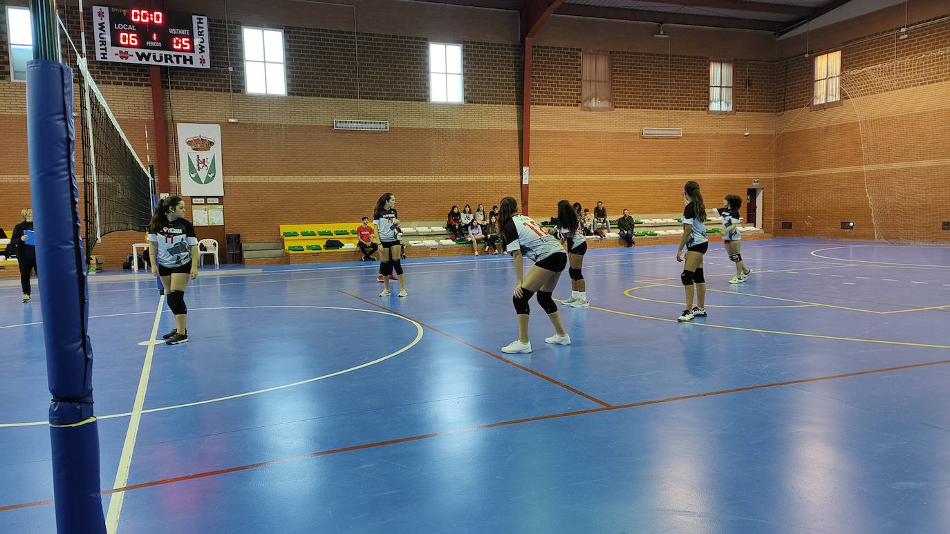 Fotos: Voleibol Infantil - FD Mérida