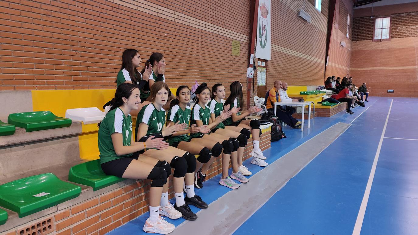 Fotos: Voleibol Infantil - FD Mérida