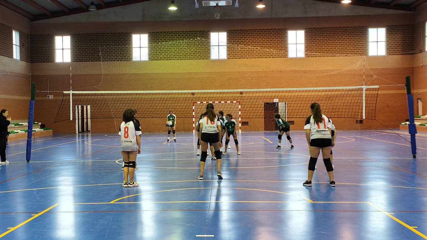 Fotos: Voleibol Infantil - FD Mérida