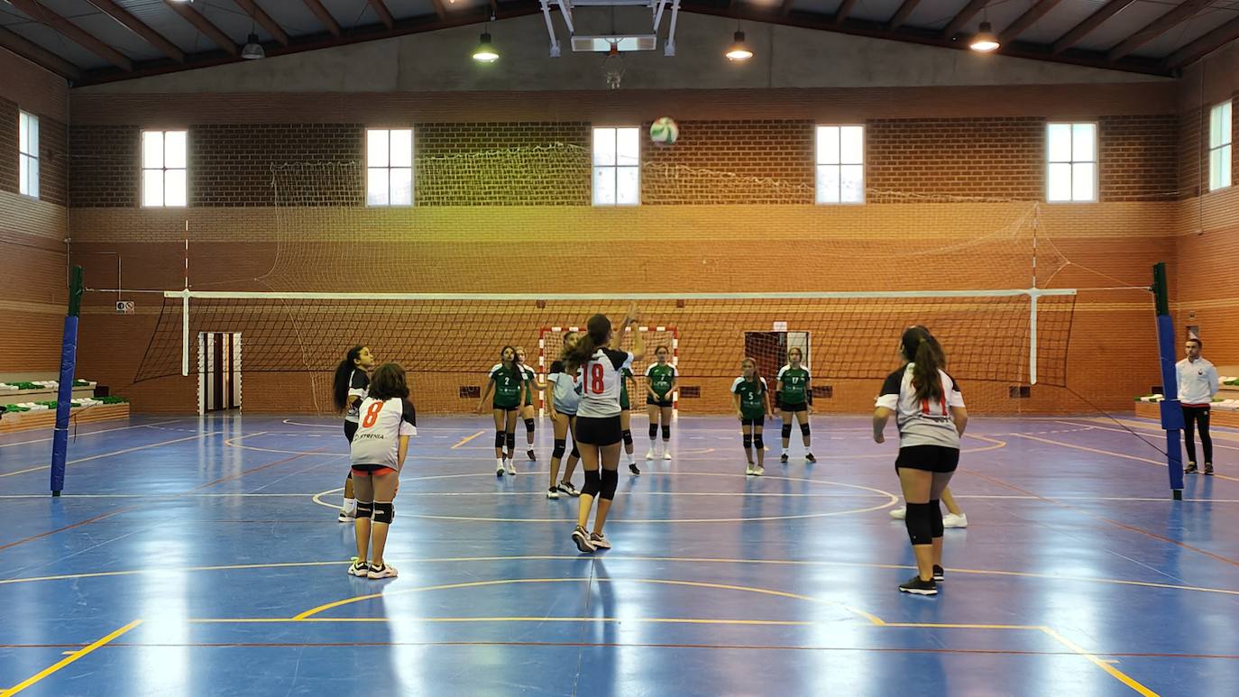 Fotos: Voleibol Infantil - FD Mérida