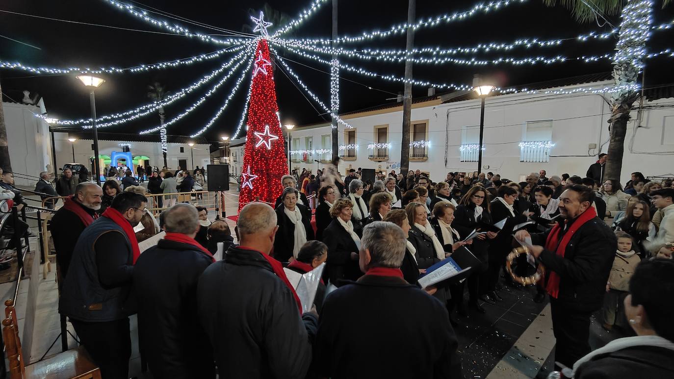 Fotos: Encendido Navideño 2022