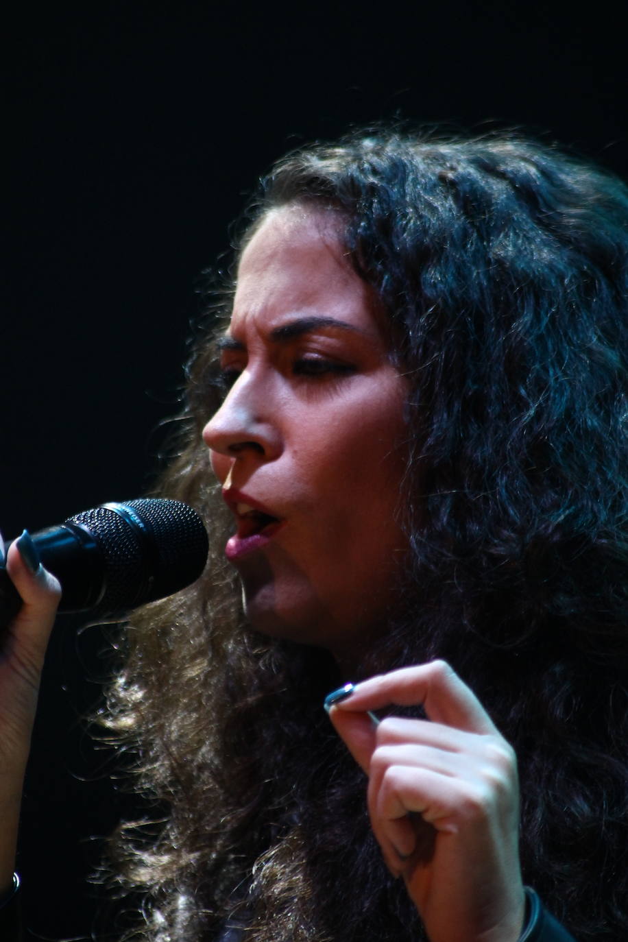 Fotos: Concurso de Talentos Fevalpop Joven 2022