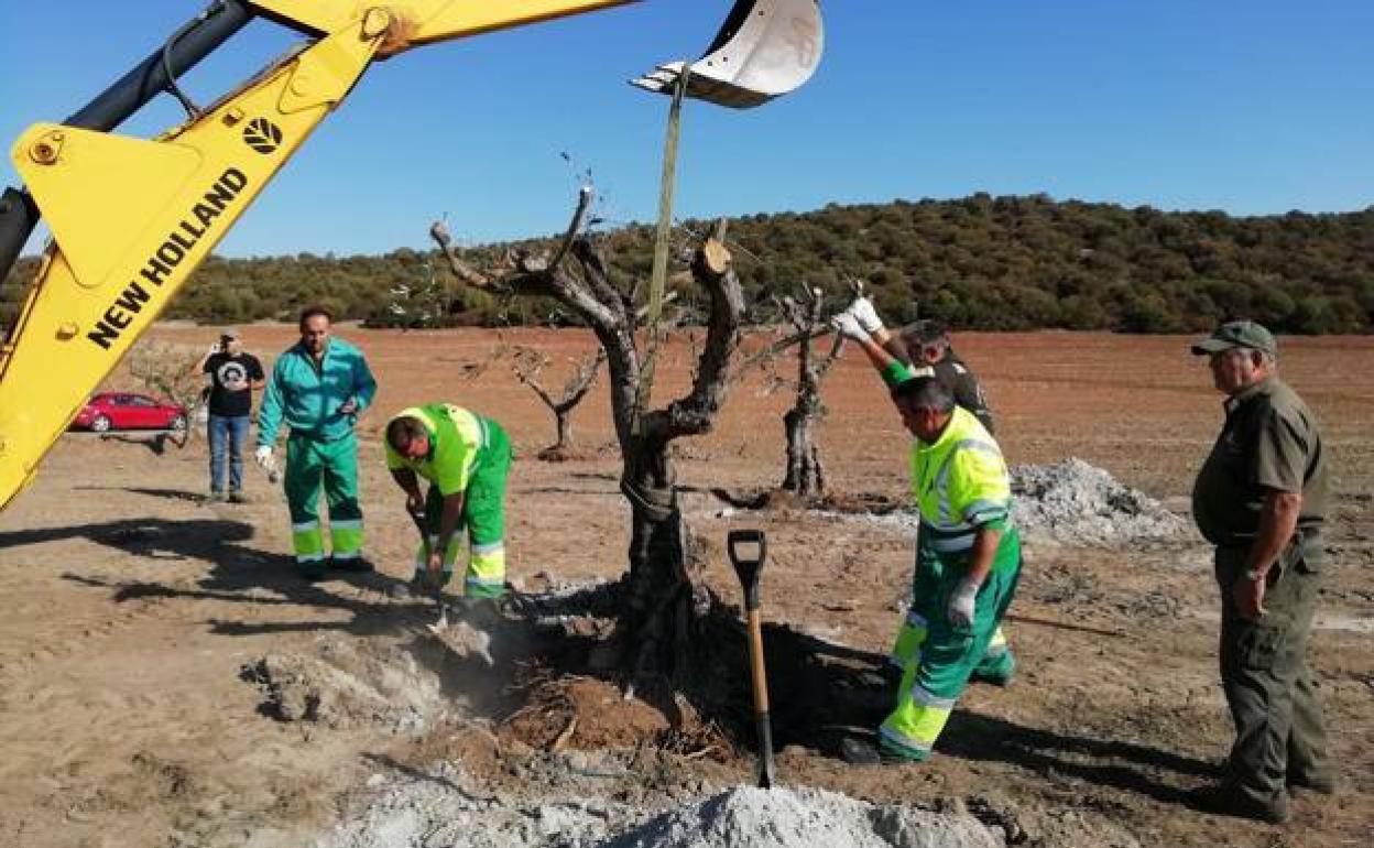 Trabajos realizados por el Centro Especial de Empleo