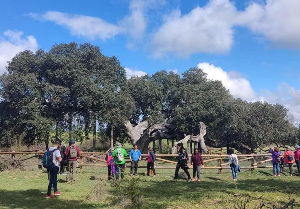 La Encima Madre, protagonista de una ruta organizada por el Centro de Turismo
