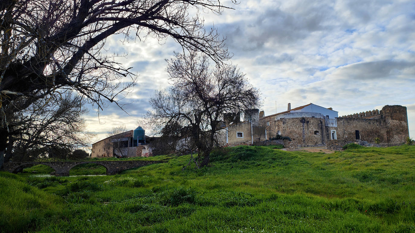 Encima Madre o Encina del Romo