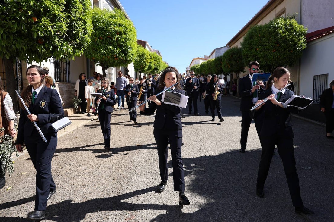 Domingo de Ramos