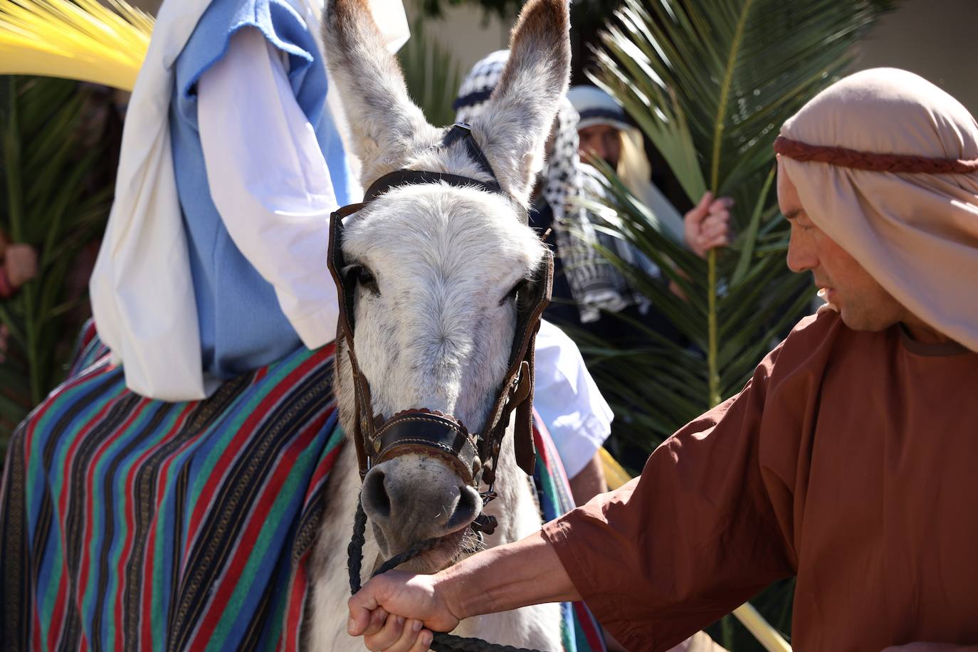 Domingo de Ramos