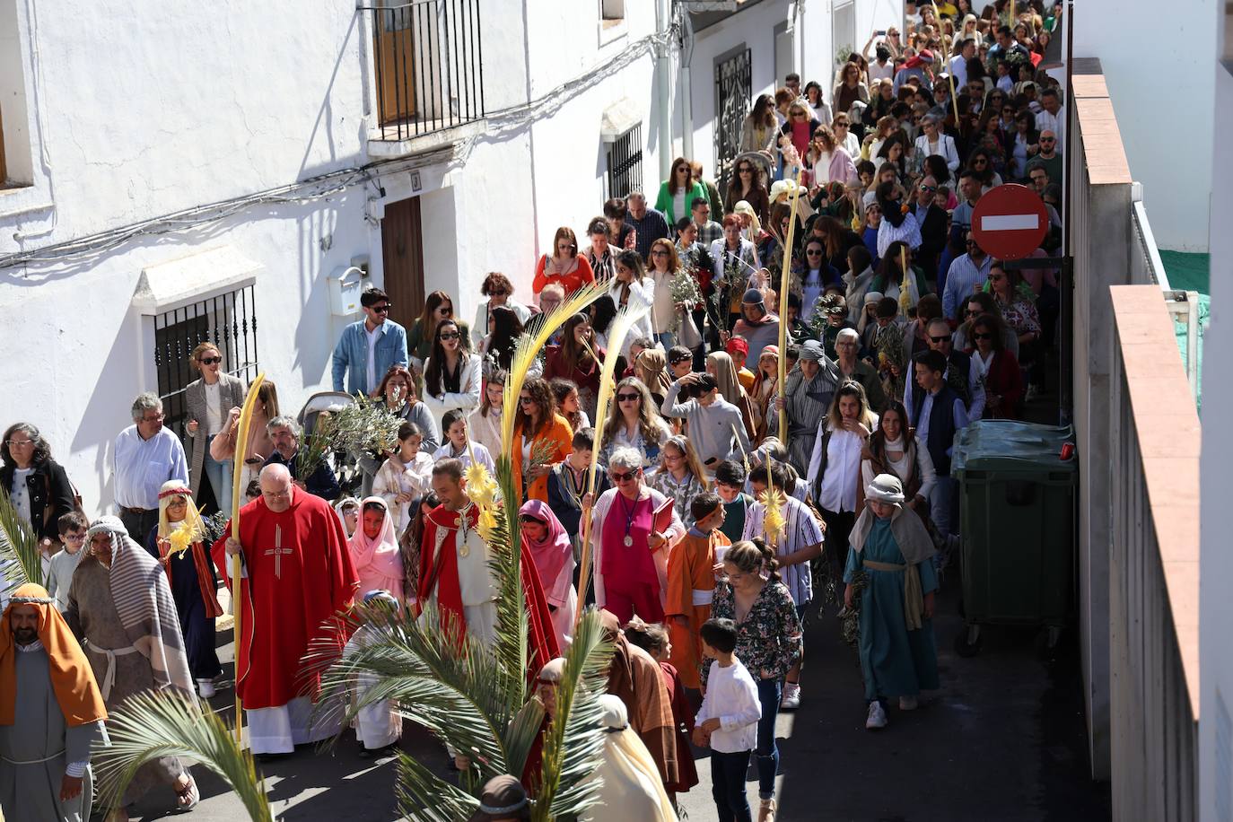 Domingo de Ramos