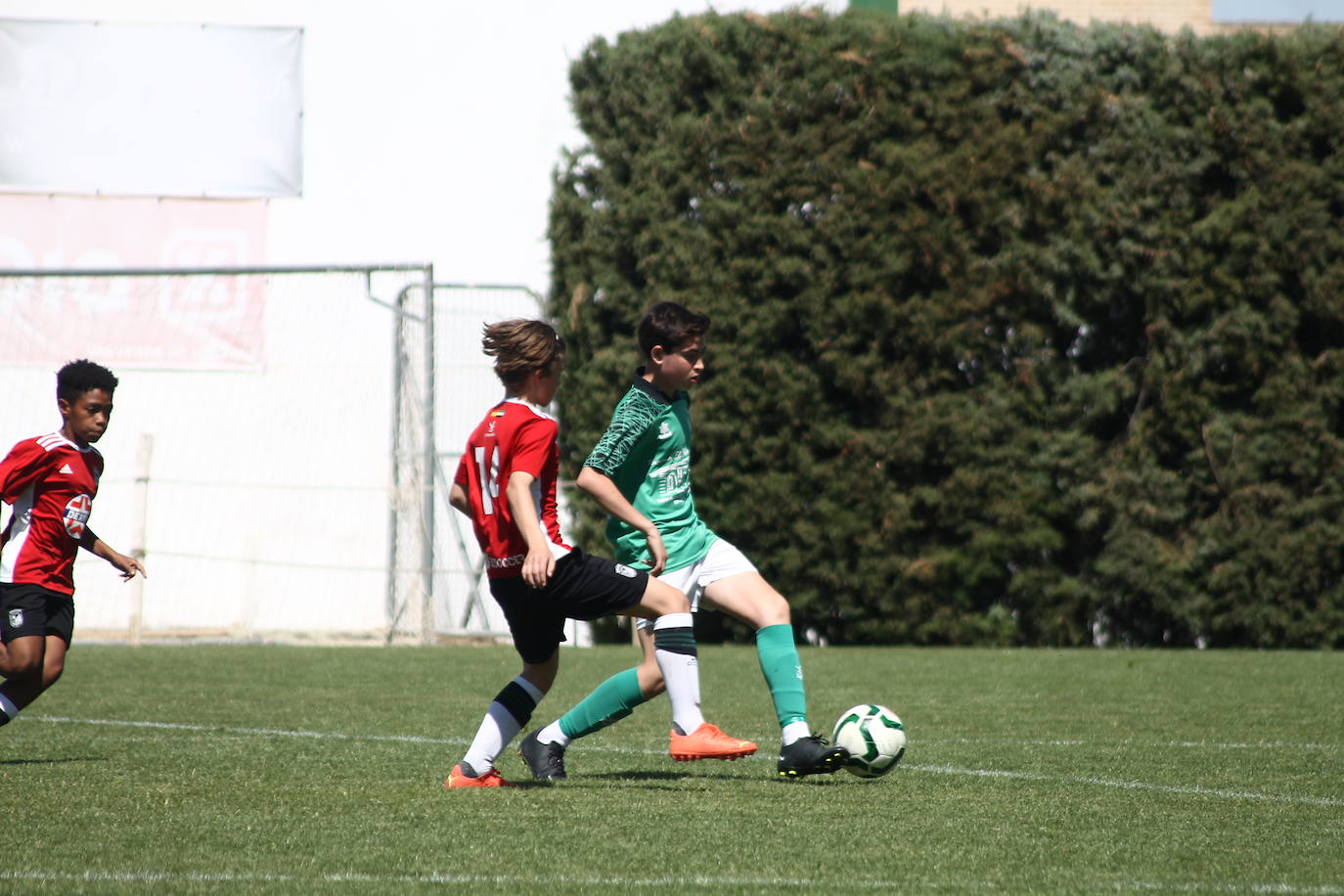 II Torneo Ibérico de Fútbol 'Villa de Valverde' (II)