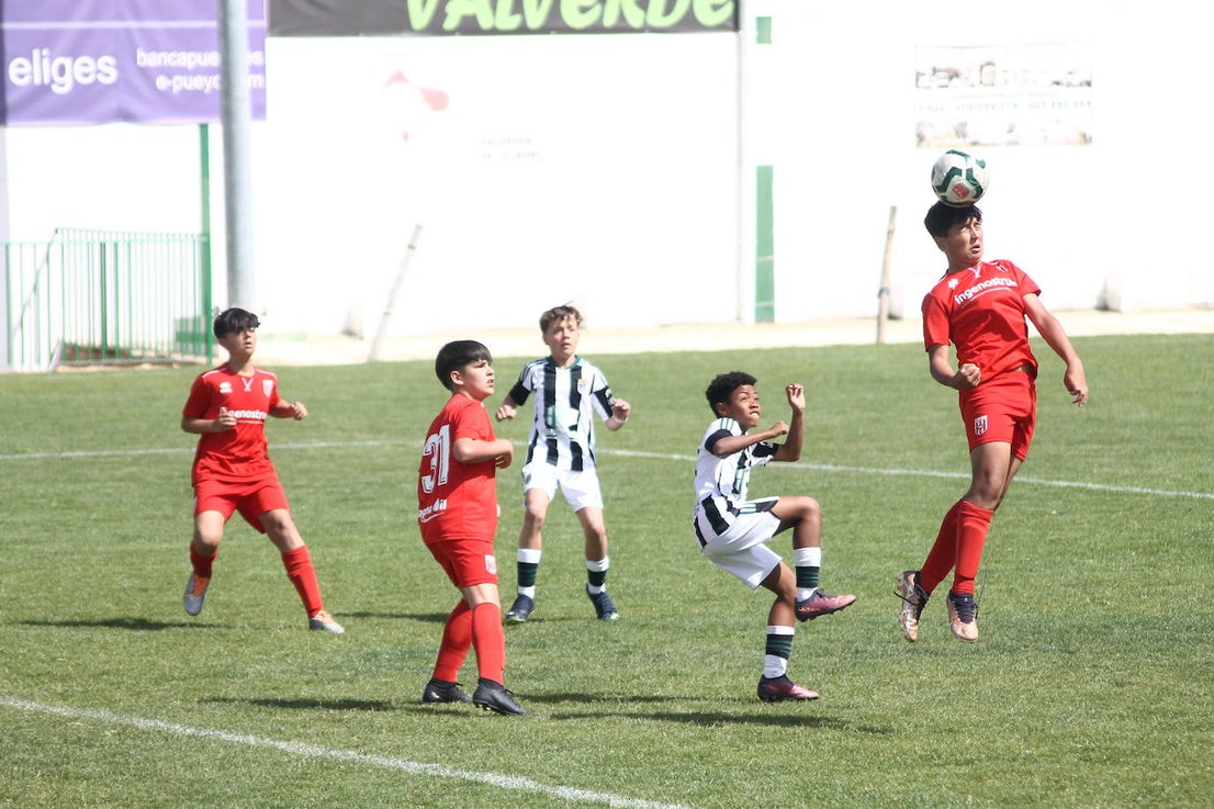 II Torneo Ibérico de Fútbol 'Villa de Valverde'