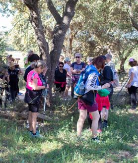 Imagen secundaria 2 - Durante la ruta