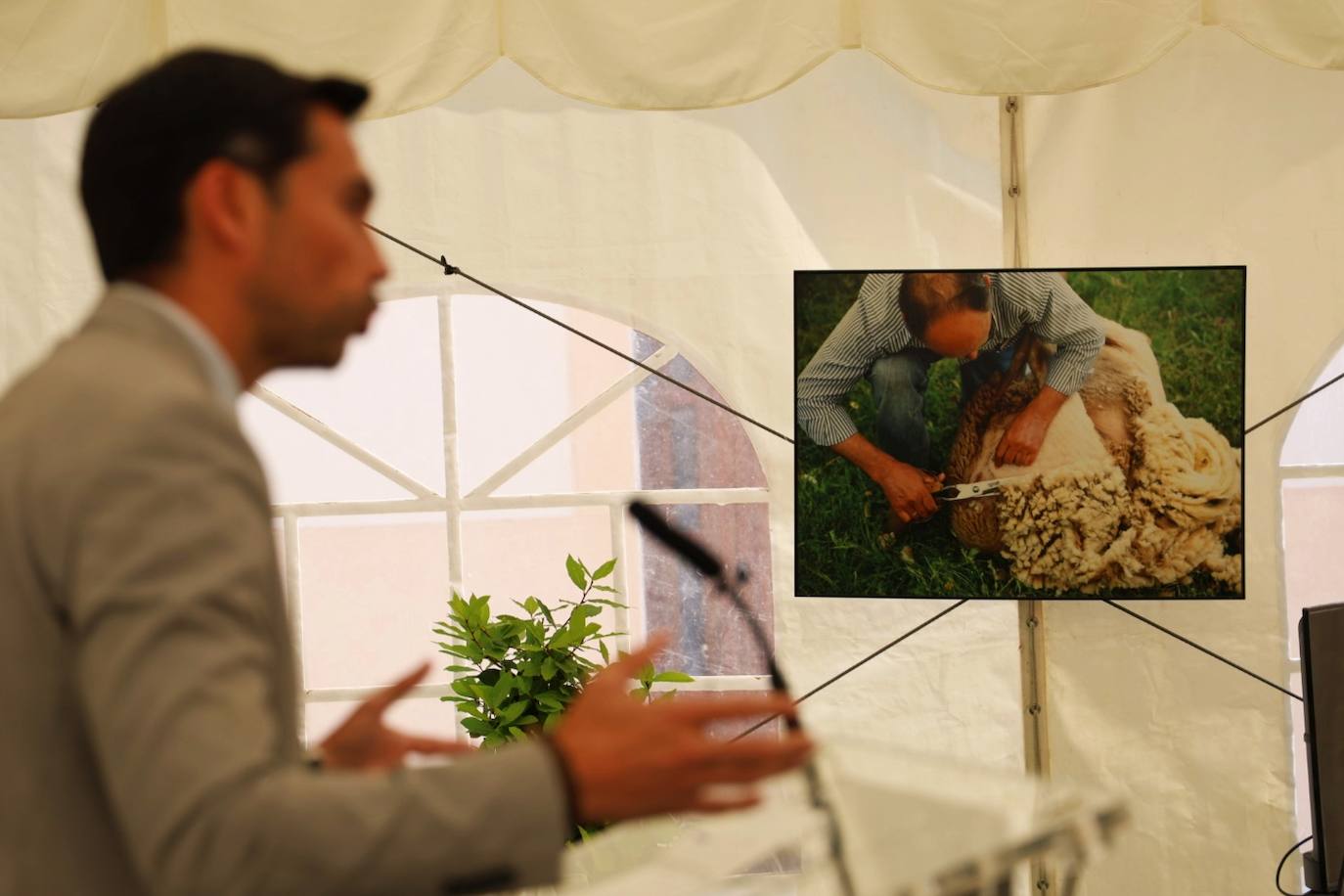 XII Vive la Trashumancia y IV Feria del Queso Artesano (I)