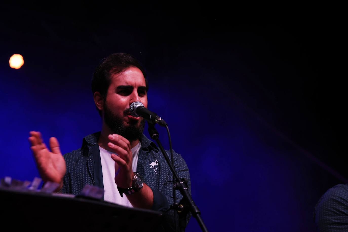 XII Vive la Trashumancia y IV Feria del Queso Artesano (II)