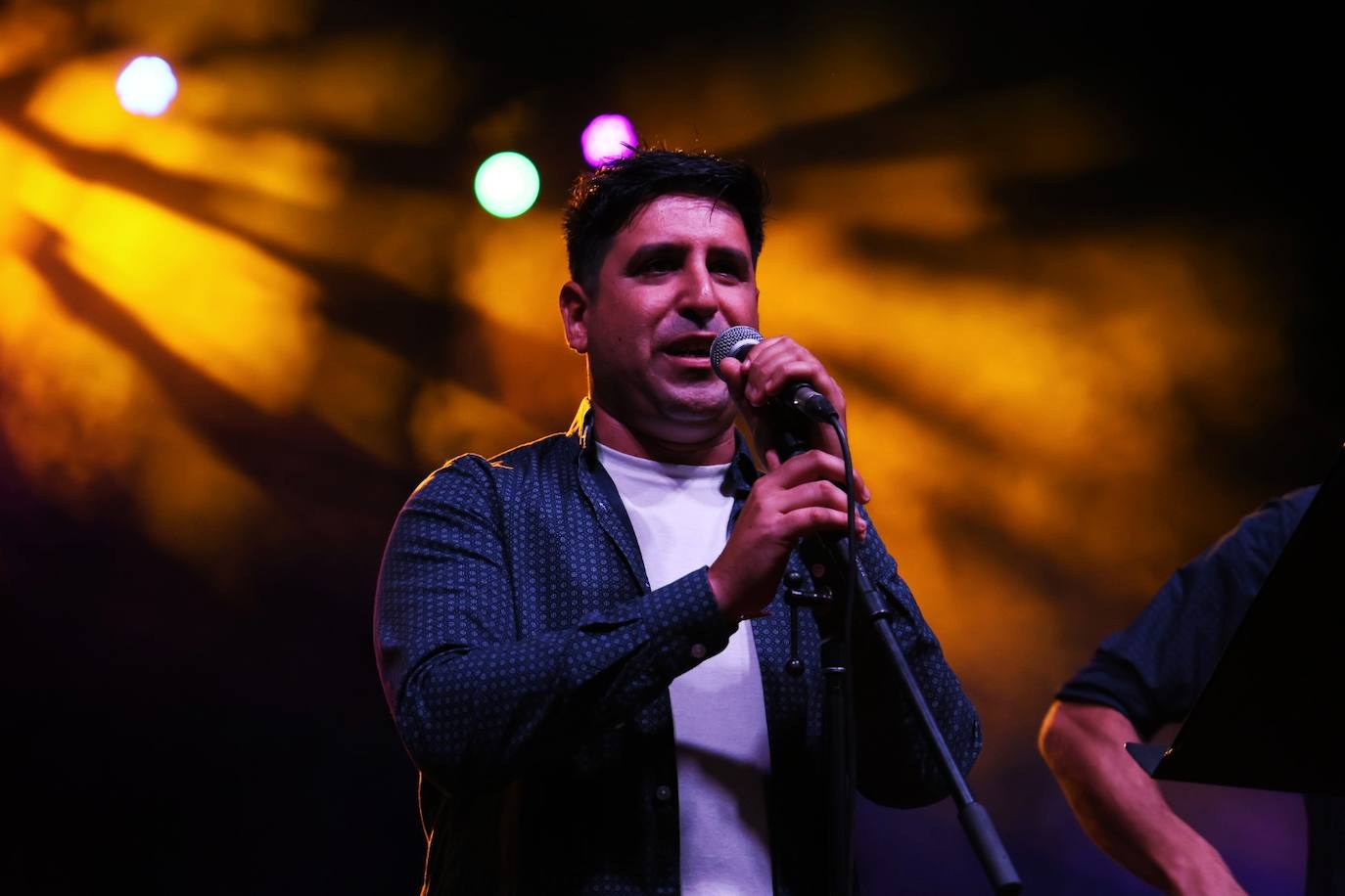 XII Vive la Trashumancia y IV Feria del Queso Artesano (II)