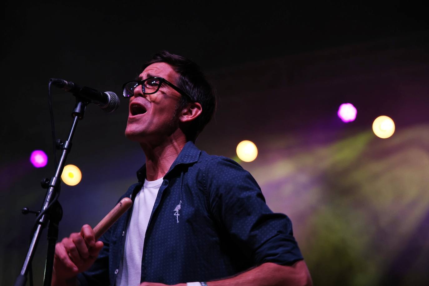 XII Vive la Trashumancia y IV Feria del Queso Artesano (II)