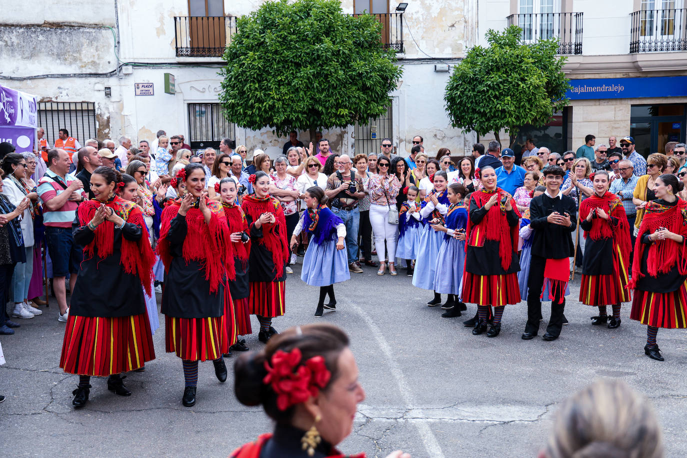 XII Vive la Trashumancia y IV Feria del Queso Artesano (VI)