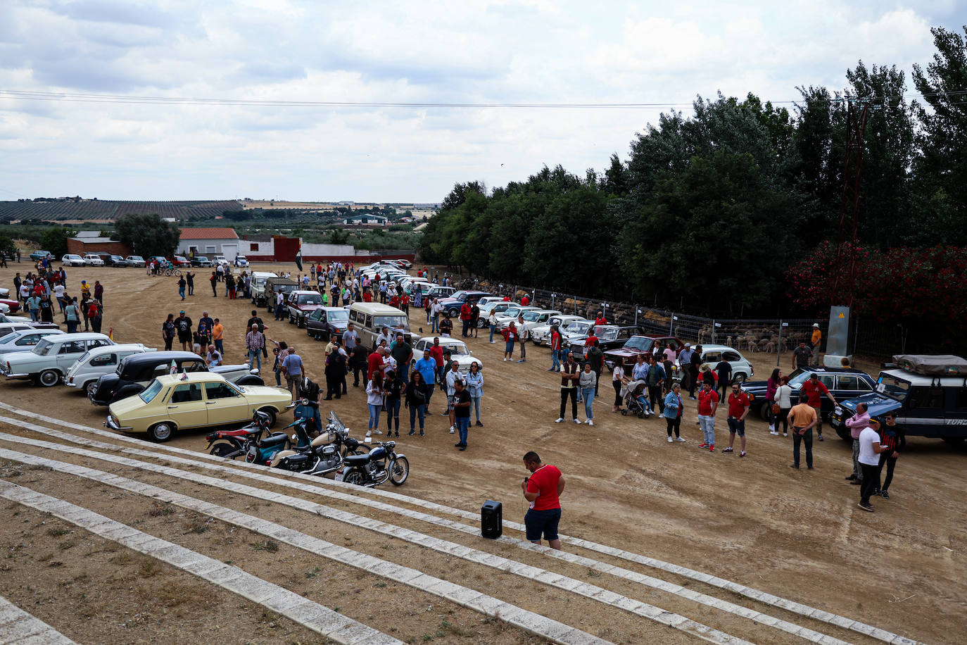 XII Vive la Trashumancia y IV Feria del Queso Artesano (VI)
