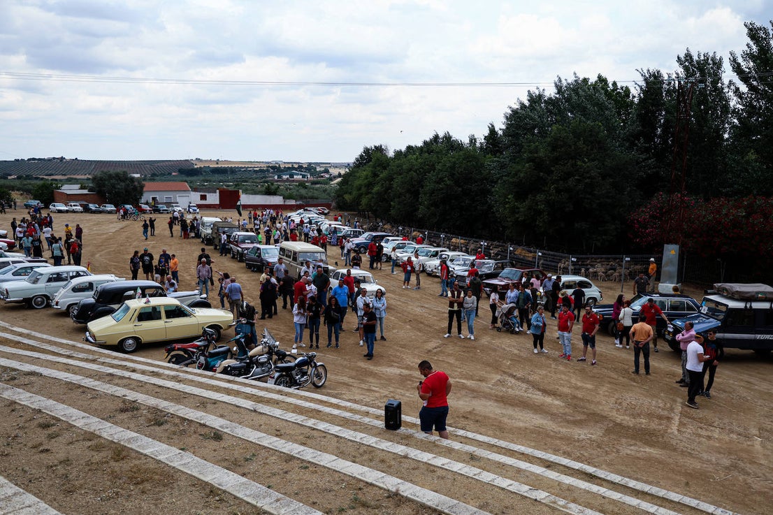 XII Vive la Trashumancia y IV Feria del Queso Artesano (VI)