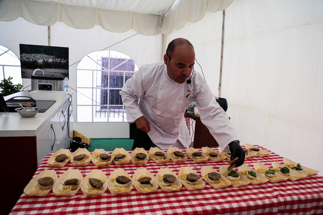 XII Vive la Trashumancia y IV Feria del Queso Artesano (VI)